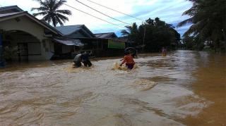 Sungai Kampar Meluap, Ratusan Rumah Warga Terendam Banjir